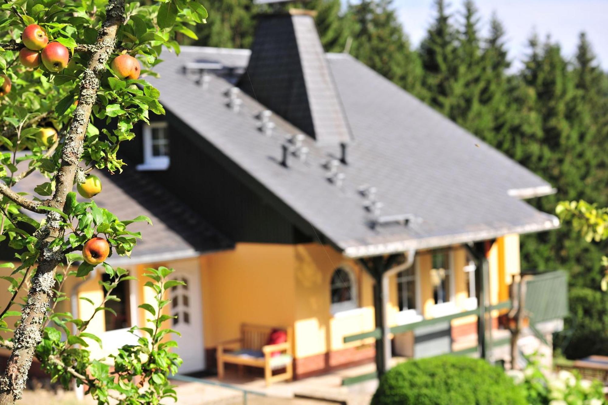Exklusives Ferienhaus "Waldzauber" Ruhe Und Natur Pur Am Waldrand Geniessen Schönheide Eksteriør billede